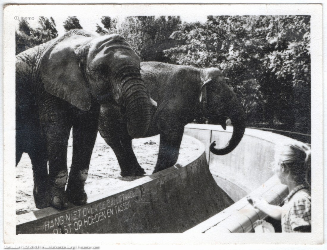 Mastodon | 20230103 | @michelvanderburg | 1 memo•com